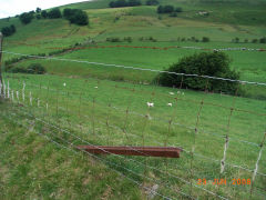 
Cwmsychan Colliery, Old rail fencepost beside leat from the dam, June 2008